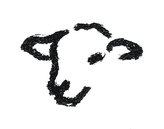 Hand-drawn lamb portrait for John Cardillo Jr.
